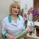 Елена Анисимова (Шарбан)