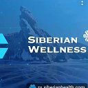 SIBERIAN WELLNESS