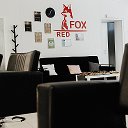 studio RED FOX