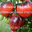 Семена томатов Коллекционных сортов