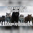 Одинокий Волк 🐺