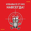 Дезинсектор Тюмень 89044999705