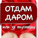 ОТДАМ ДАРОМ или за вкусняшку в КАРАСУКЕ