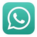 Whatsapp Hub
