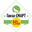 Группа компаний Ганза-СМАРТ