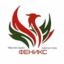 Администратор приюта Феникс