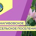 Нагибовское сельское поселение