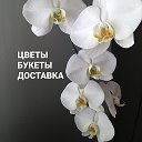 Цветы Орхидея Приволжск