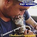 Волгодонск -Животные на передержках