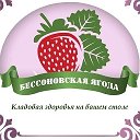 Бессоновская Ягода