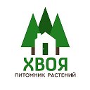 Питомник ХВОЯ