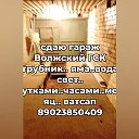 таракан5 клоп5