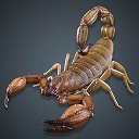 скорпион скорпион