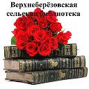 В-Берёзовская сельская библиотека
