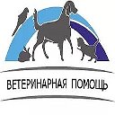 Вызов ветврача на дом 8(981) 989-35-52