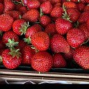 Berry Farm Продажа клубники