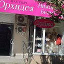 Орхидея магазин женского нижнего белья