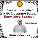 Алахка Чексиз шугур