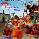 Ферма Туиди