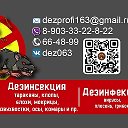 Владимир Дезинфекторов