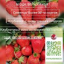 Ирина Белоусова 🌱🍓🌱🍓