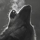Одинокий Волк