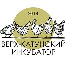 Верх Катунский Инкубатор 8-903-073-6852