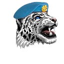 ДНР Donbass