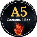 Сосновый Бор А5