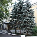 Российский Музей леса