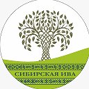 Сибирская Ива