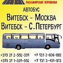 Витебск-Питер Автобус