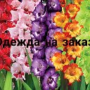 Ольга -Одежда на заказ