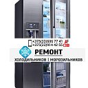 Ремонт Холодильников(33)6067741