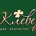 Биочистка Клевер