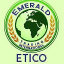 Etico Egypt