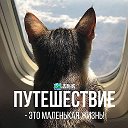 Уполномоченное агентство TEZ TOUR