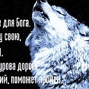 волк одиночка