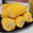 Домашняя кукуруза