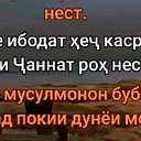 Мустафо Мустафо