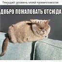 Михаил Мостовой