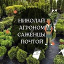 Николай Агроном Растения почтой