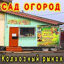 Сад Огород