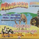 ДЕТСКАЯ ОБУВЬ MADAGASCAR TOTTO