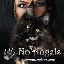 No Angels Питомник мейн-кунов