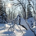 Владимир Огородник