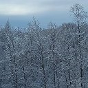 Анжелика Васильева - Будаева