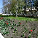 Городская больница Волновахского