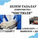 чистюля коврочист