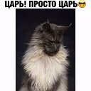 василий сомряков